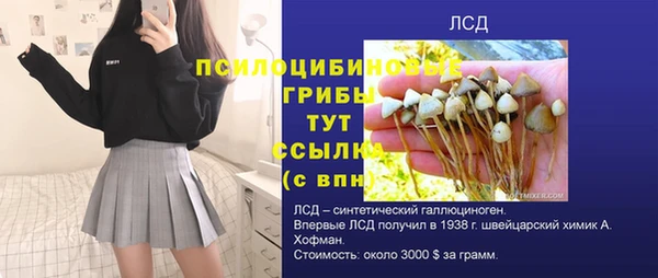 дурь Армянск