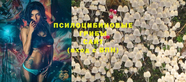 ГАЛЛЮЦИНОГЕННЫЕ ГРИБЫ Аркадак