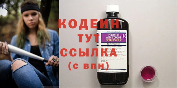 ГАЛЛЮЦИНОГЕННЫЕ ГРИБЫ Аркадак