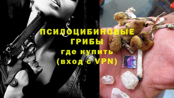 дурь Армянск