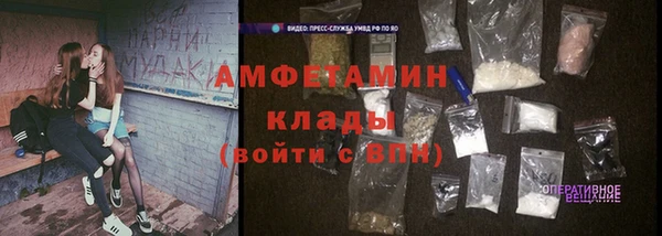 ГАЛЛЮЦИНОГЕННЫЕ ГРИБЫ Аркадак
