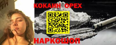 сатива Аргун