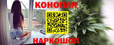 сатива Аргун