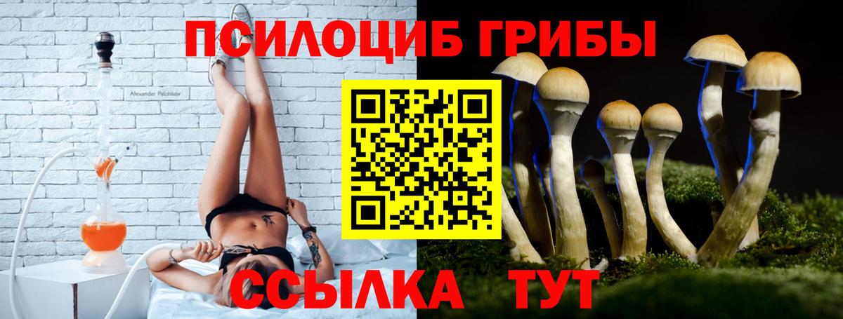 Асино  Галлюциногенные грибы прущие грибы  Галлюциногенные грибы Magic Shrooms  Вход с VPN 