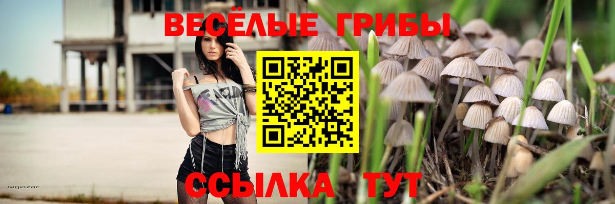 Псилоцибиновые грибы ЛСД Асино
