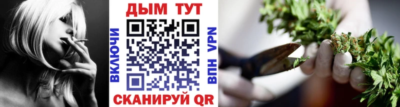 Каннабис индика  Асино 